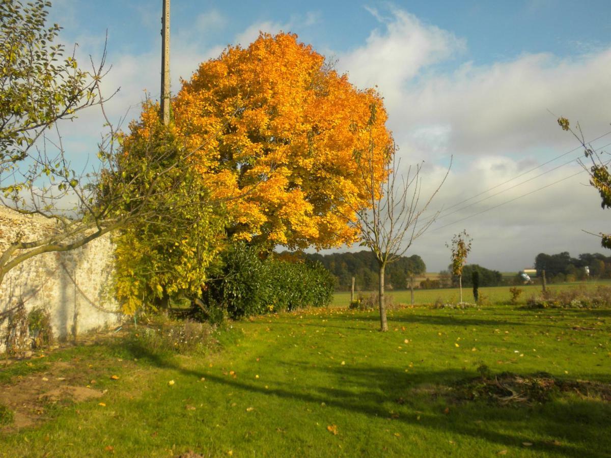 La Ferme Le Merger Bed & Breakfast La Ferte-Gaucher Exterior photo